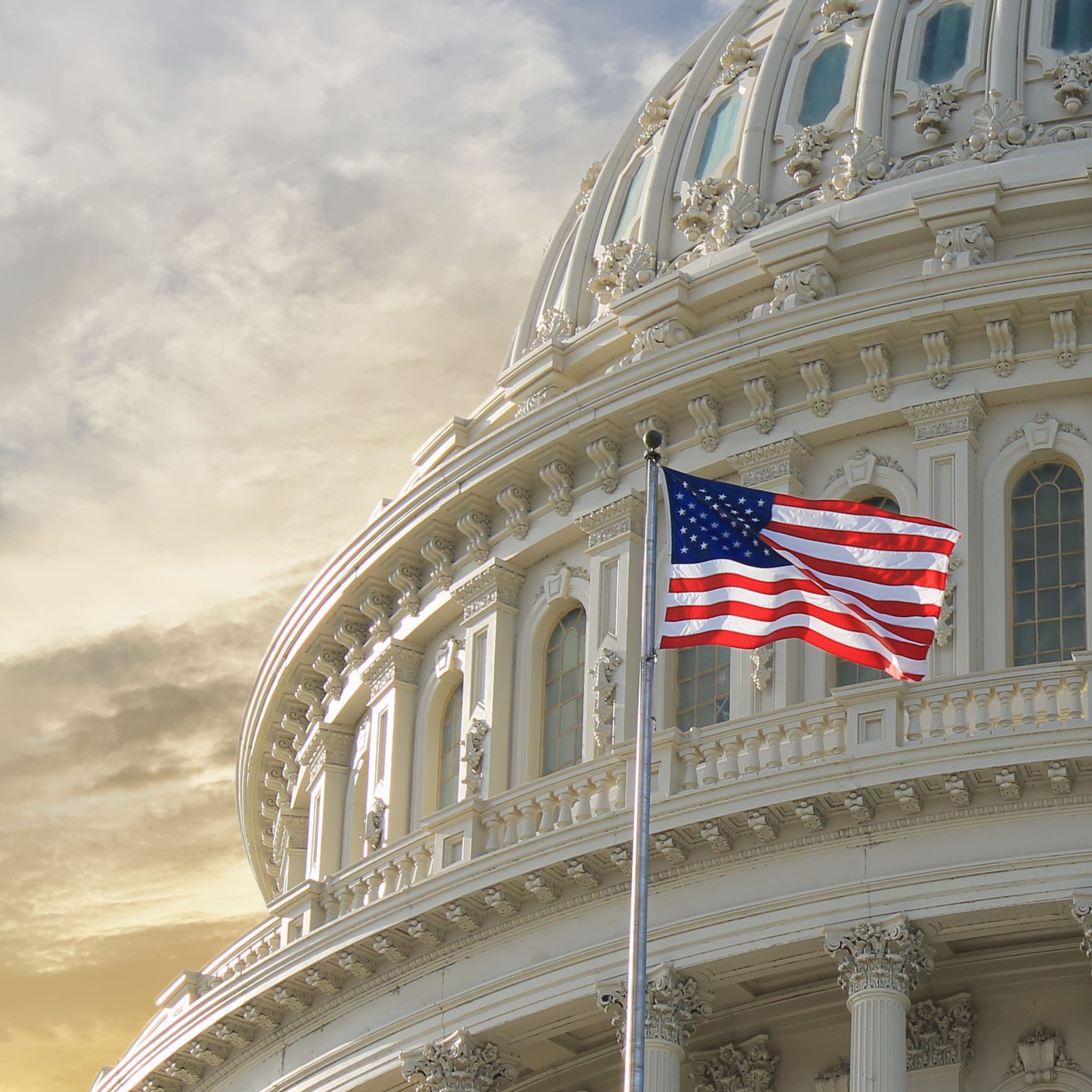 Female candidates for federal office